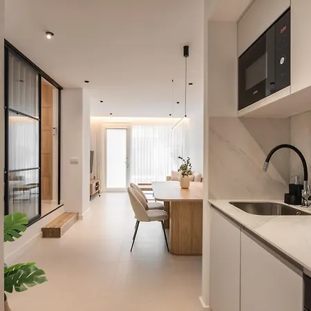 Loft America 41 B Apartment Melide